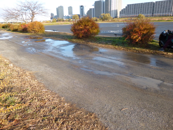 RUNNET EKIDEN in TAMAGAWA 水たまりの様子の画像