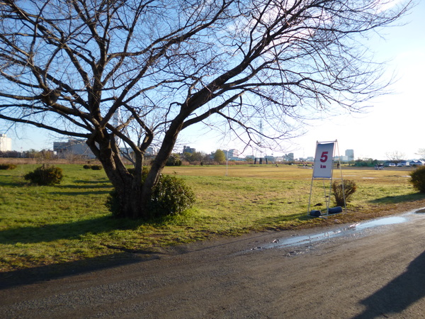 RUNNET EKIDEN in TAMAGAWA 5km地点の画像