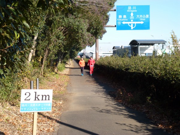 品川・大井スポーツの森大会 2km地点の画像