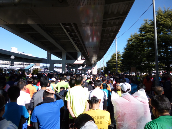 第37回 神奈川マラソン スタート直前の風景