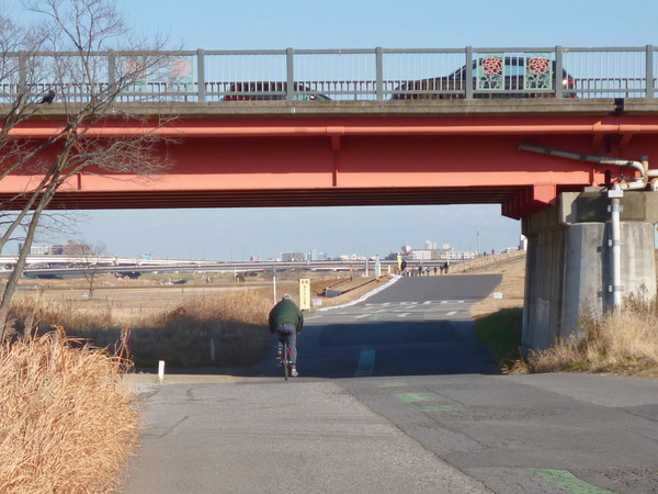 板橋Cityマラソン 西新井橋