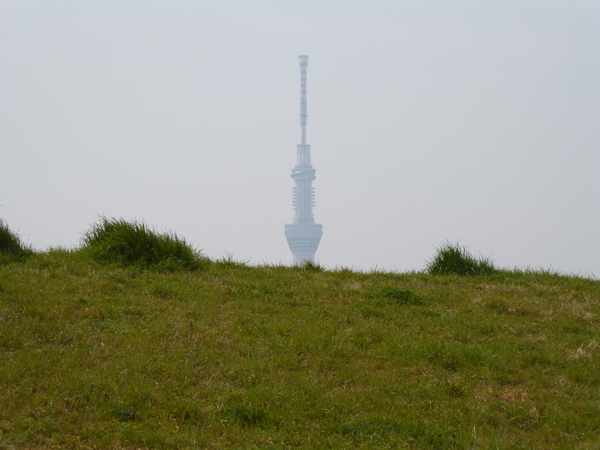 スカイツリー（荒川河川敷から撮影）