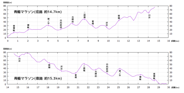 青梅マラソン 高度差