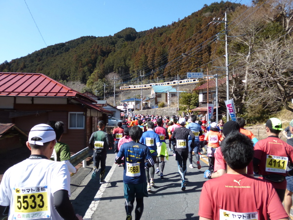 第52回青梅マラソン、12.5km付近