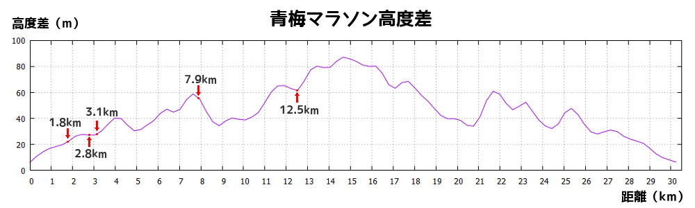 第52回青梅マラソン、高度差